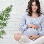 Hamilelikte dereotu yenir mi