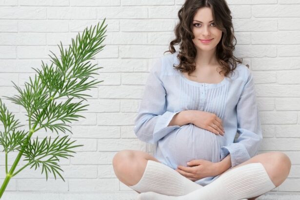 Hamilelikte dereotu yenir mi