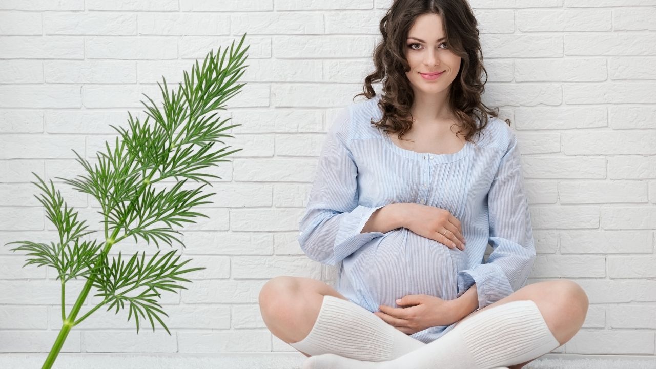 Hamilelikte dereotu yenir mi