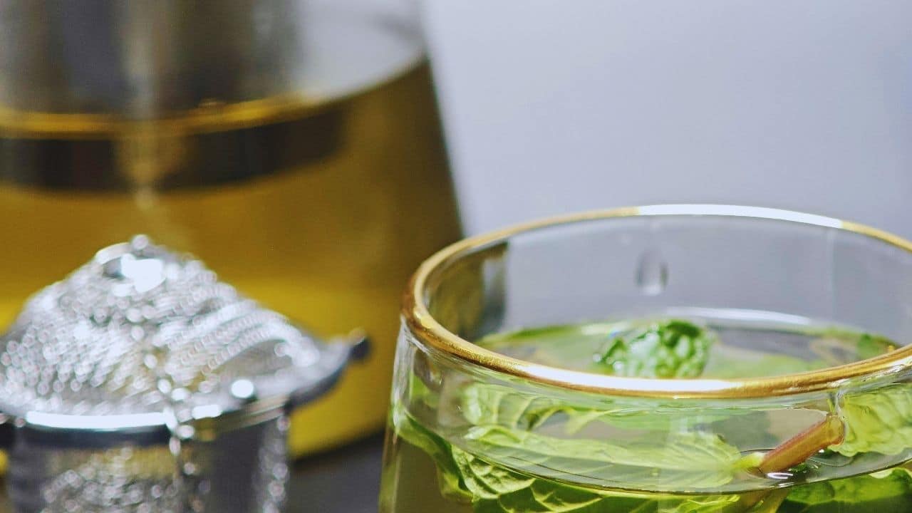 Hamilelikte Nane Limon İçilir mi