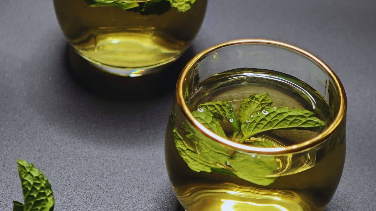 Hamilelikte Nane Limon İçilir mi