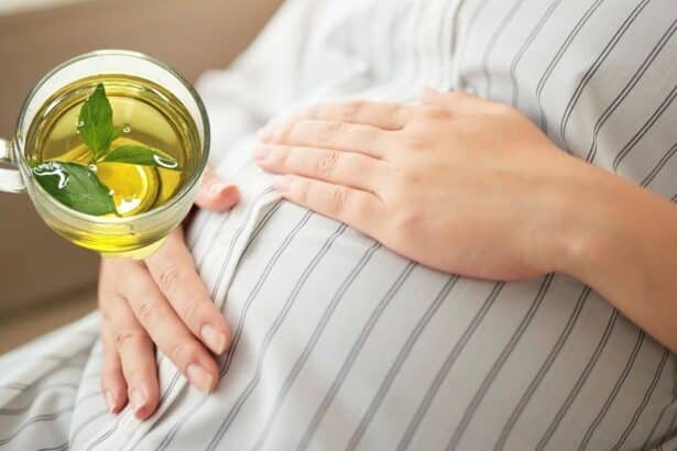 Hamilelikte Nane Limon İçilir mi