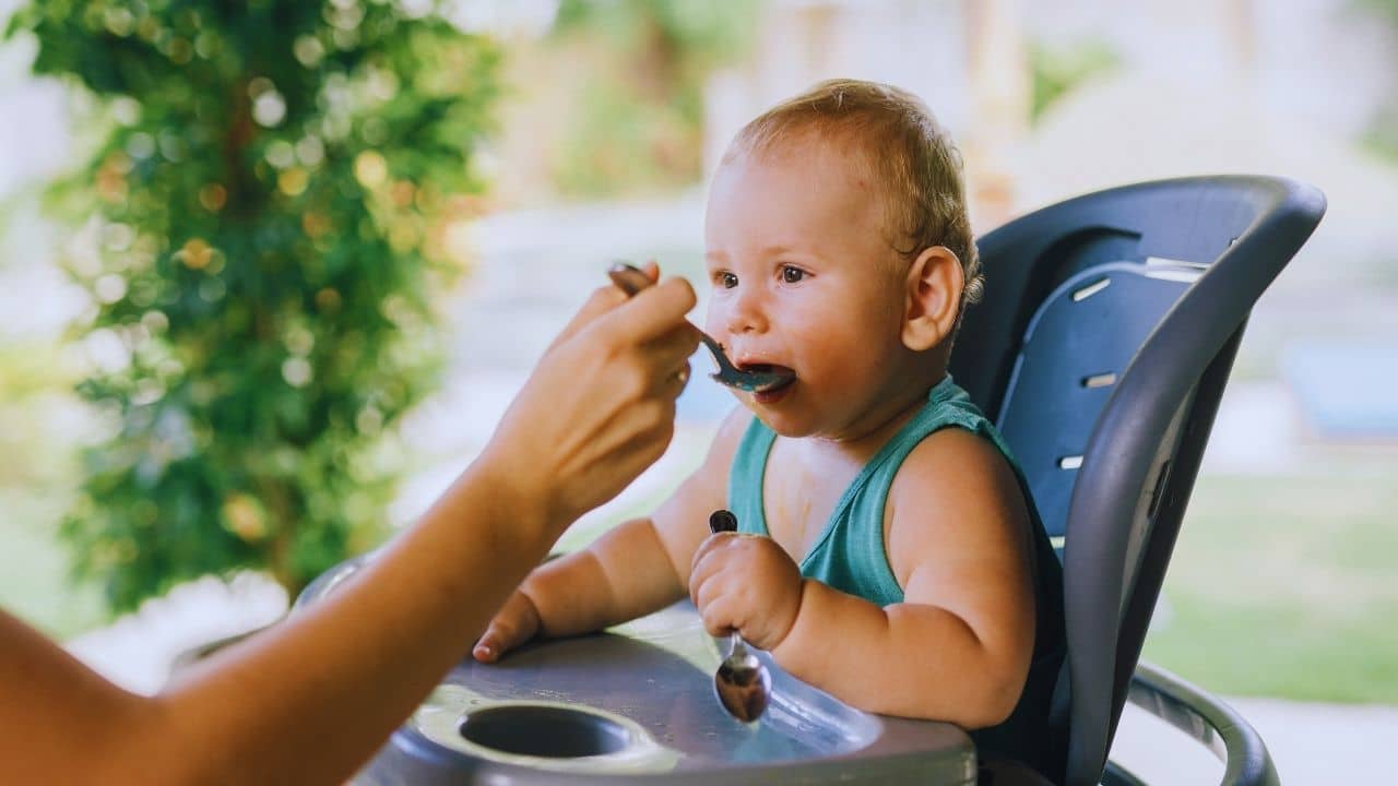 6 Aylık Bebeğe Ek Gıda Ne Verilir