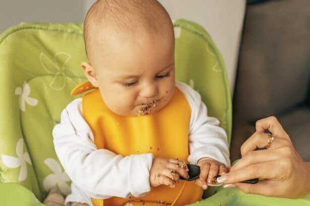 6 aylık bebek ek gıda listesi